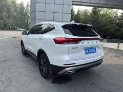 Haval H6 National Trend Edition 1.5T Automatic Urban Version - ფოტო 19