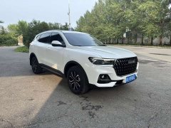 Haval H6 National Trend Edition 1.5T Automatic Urban Version - ფოტო 3