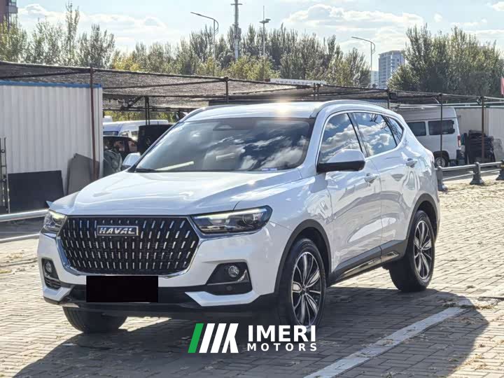 Haval H6 National Trend Edition 1.5T Automatic Champion Version - car from China