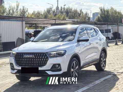 2023 Haval H6 National Trend Edition 1.5T Automatic Champion Version - ავტომობილი ჩინეთიდან