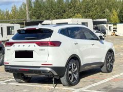 Haval H6 National Trend Edition 1.5T Automatic Champion Version - photo 9