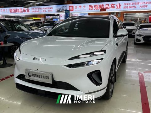 2025 BYD Haima Sealion 06 DM-i 205 Pilot Plus - car from China