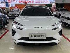 BYD Haima Sealion 06 DM-i 205 Pilot Plus - photo 2