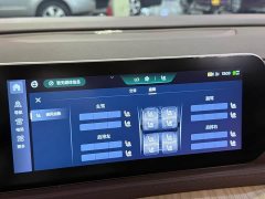 Dongfeng Fengxing Yacht 2022 1.5T DCT Wave-Chasing Edition - photo 14
