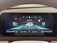 Dongfeng Fengxing Yacht 2022 1.5T DCT Wave-Chasing Edition - photo 15