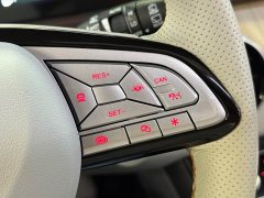 Dongfeng Fengxing Yacht 2022 1.5T DCT Wave-Chasing Edition - photo 19
