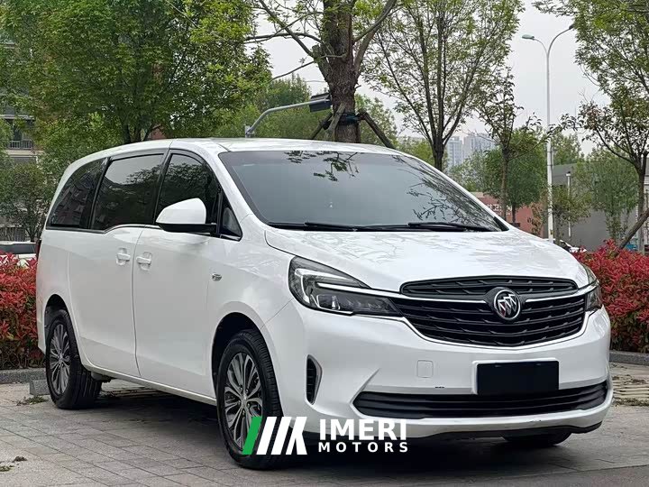 Buick GL8 Land Business Class 652T Comfort - автомобиль из Китая