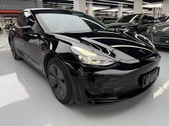 Tesla Model 3 Standard Range RWD Upgrade - ფოტო 3