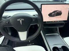 Tesla Model 3 Standard Range RWD Upgrade - ფოტო 6