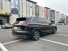 Volkswagen Viloran 380TSI Zunchi Edition - ფოტო 15