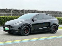 Tesla Model Y Rear-Wheel Drive - ფოტო 1