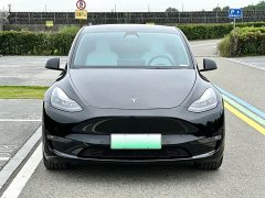 Tesla Model Y Rear-Wheel Drive - ფოტო 2