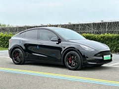 Tesla Model Y Rear-Wheel Drive - ფოტო 3