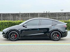 Tesla Model Y Rear-Wheel Drive - ფოტო 4