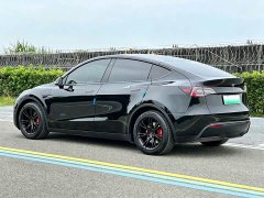 Tesla Model Y Rear-Wheel Drive - ფოტო 5