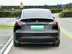 Tesla Model Y Rear-Wheel Drive - ფოტო 6