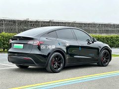 Tesla Model Y Rear-Wheel Drive - ფოტო 7