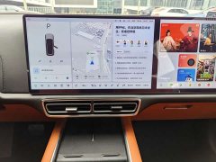 Li Auto L9 2022 Max - ფოტო 9