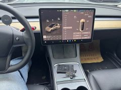 Tesla Model 3 Rear-Wheel Drive - ფოტო 10