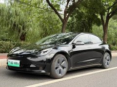 Tesla Model 3 Rear-Wheel Drive - ფოტო 1