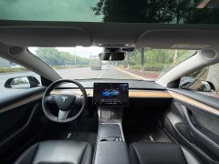 Tesla Model 3 Rear-Wheel Drive - ფოტო 15