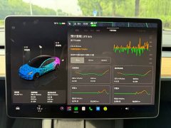 Tesla Model 3 Rear-Wheel Drive - ფოტო 16