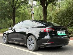 Tesla Model 3 Rear-Wheel Drive - ფოტო 3