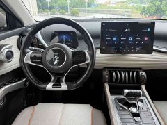 BYD Yuan Plus Glory Edition 430KM Leading - ფოტო 9