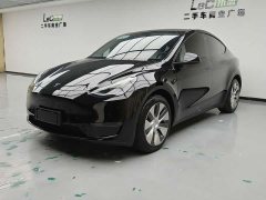 Tesla Model Y Long Range All-Wheel Drive - ფოტო 1