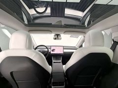 Tesla Model Y Long Range All-Wheel Drive - ფოტო 19