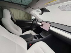 Tesla Model Y Long Range All-Wheel Drive - ფოტო 20