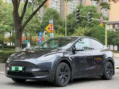 Tesla Model Y Rear-Wheel Drive - ფოტო 1