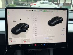 Tesla Model Y Rear-Wheel Drive - ფოტო 2