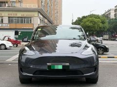 Tesla Model Y Rear-Wheel Drive - ფოტო 3