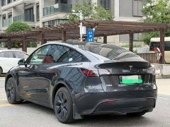 Tesla Model Y Rear-Wheel Drive - ფოტო 9