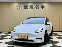 Tesla Model Y Rear-Wheel Drive - ფოტო 1
