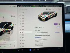 Tesla Model Y Rear-Wheel Drive - ფოტო 6