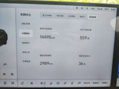 Li Auto L6 Pro Smart Refresh Edition - ფოტო 10