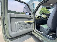 Geely Panda 200km Panda Knight - ფოტო 10