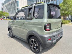 Geely Panda 200km Panda Knight - ფოტო 17