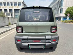 Geely Panda 200km Panda Knight - ფოტო 18