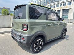 Geely Panda 200km Panda Knight - ფოტო 19