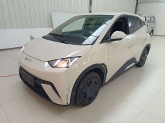 BYD Seagull Glory Edition 305km Vitality Version - ფოტო 1