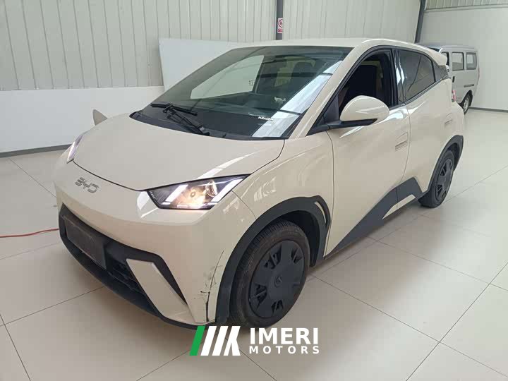 BYD Seagull Glory Edition 305km Vitality Version