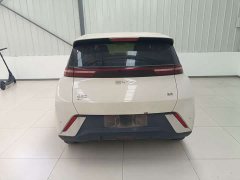 BYD Seagull Glory Edition 305km Vitality Version - ფოტო 4