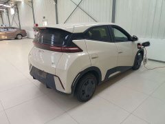 BYD Seagull Glory Edition 305km Vitality Version - ფოტო 5