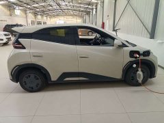 BYD Seagull Glory Edition 305km Vitality Version - ფოტო 6