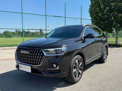 Haval H6 National Trend Edition 1.5T Automatic Champion Version - ფოტო 1