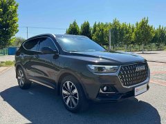 Haval H6 National Trend Edition 1.5T Automatic Champion Version - ფოტო 3