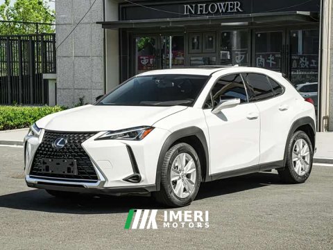 2021 Lexus UX 2020 200 Special Edition - car from China